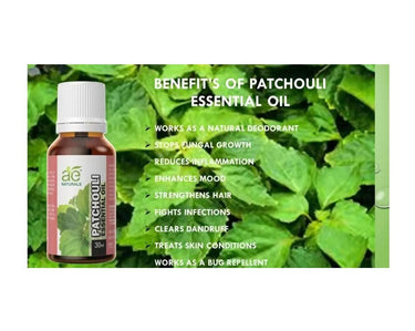 https://cdn.shopify.com/s/files/1/1857/6931/files/8aANKoKSB1-650595.jpg?v=1736143807